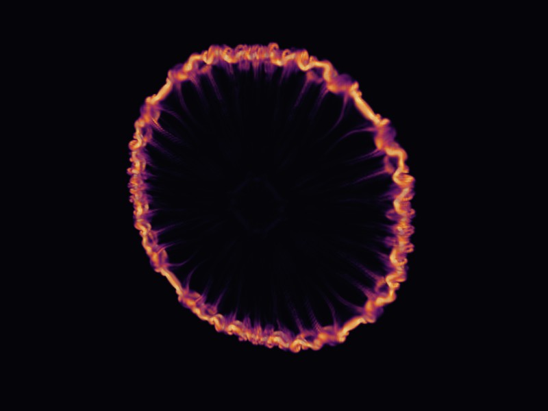 Two interacting vortex rings in a fluid simulation